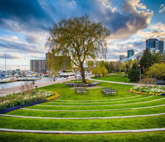 Toronto Music Garden
